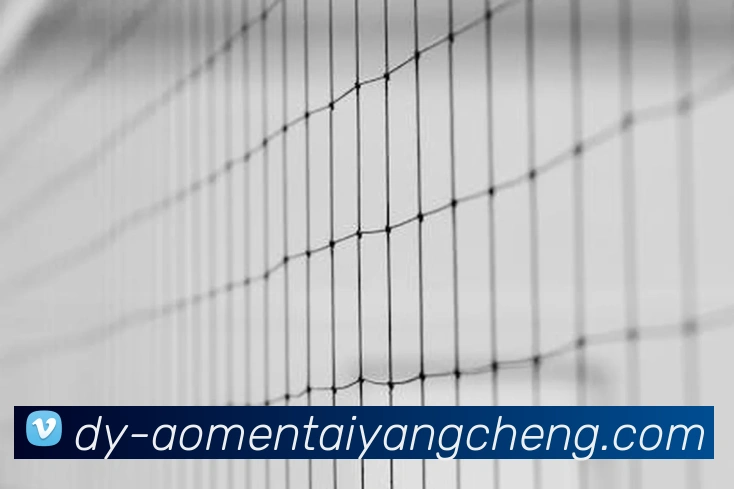 澳门太阳城网站APP 体育赛事宣传图